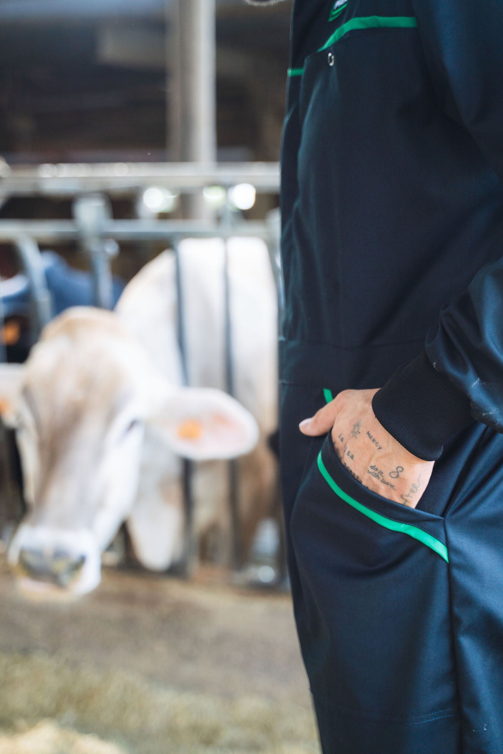 ESSENTIAL - Tuta da Agricoltore Farmer Suit